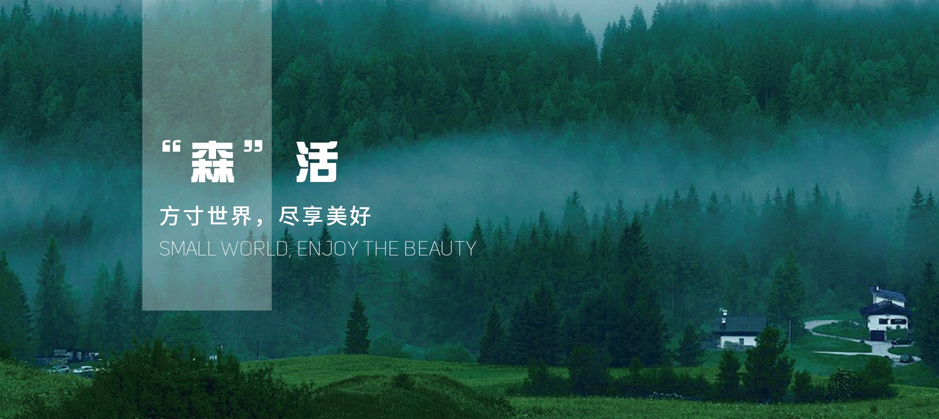 电脑端-首页滚动大图1